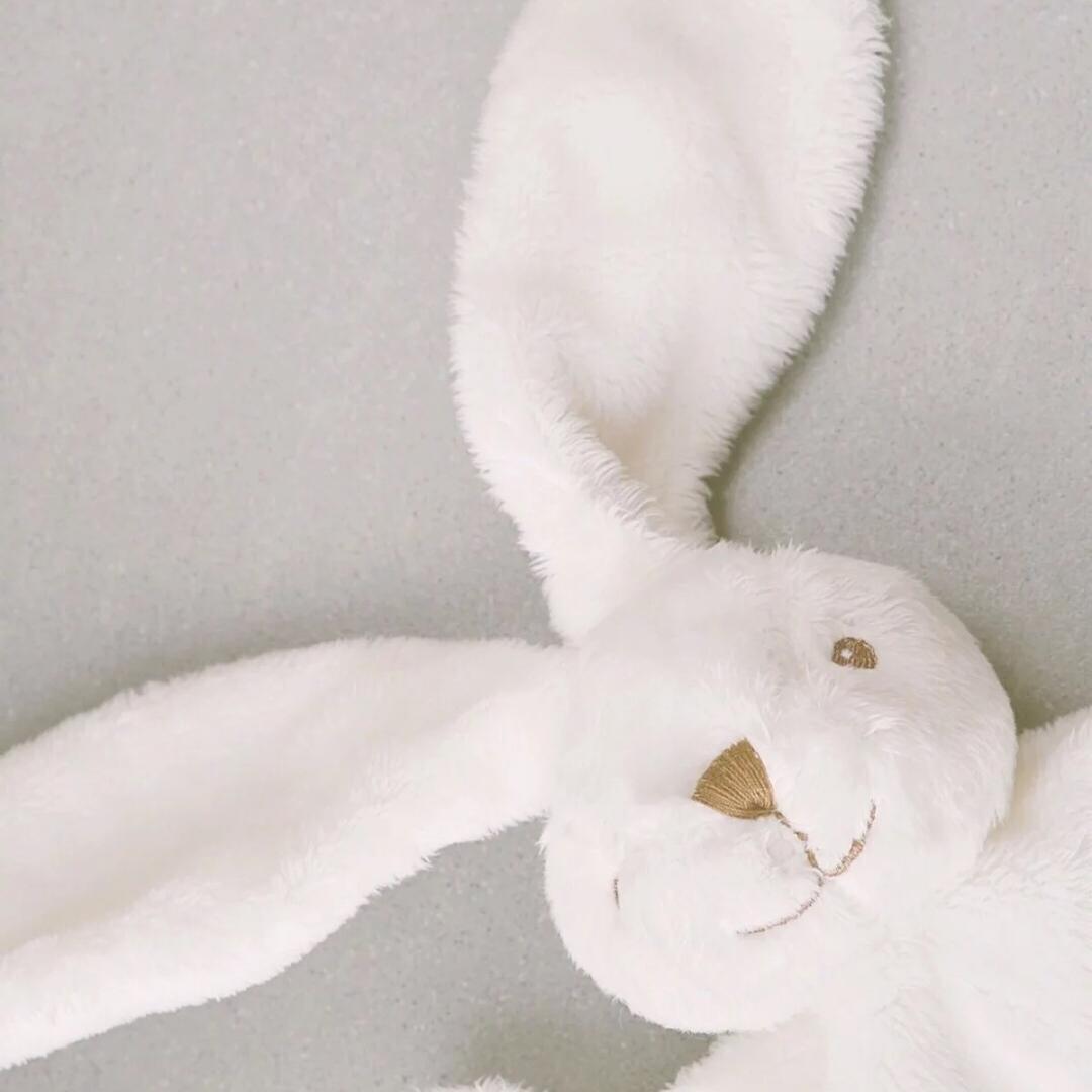 肥肉肉肉肉肉肉🧚