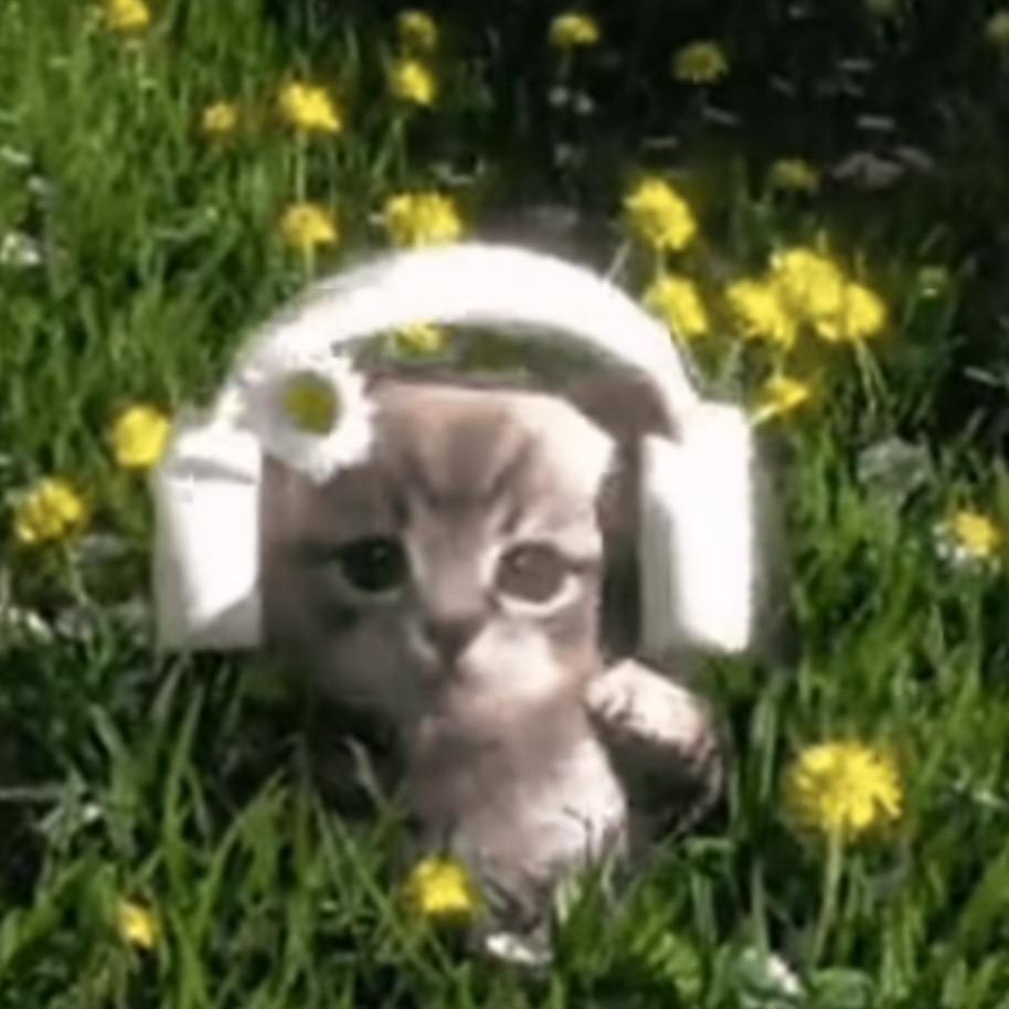 辣白菜❤️‍🔥