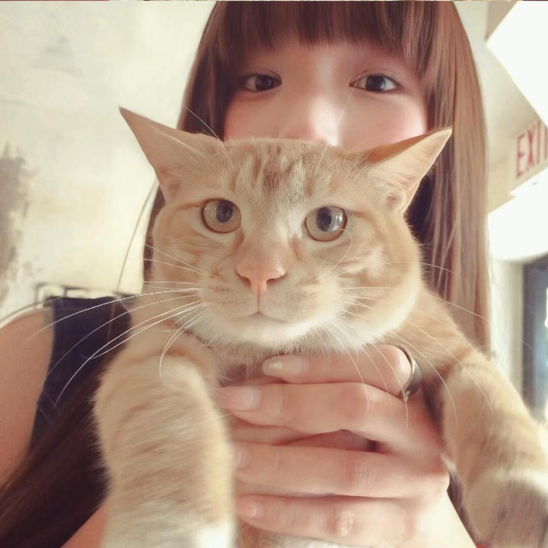 1.ˇ