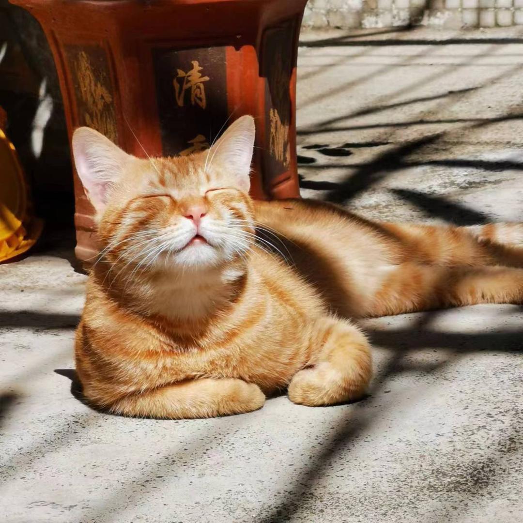 🌈🌈壶宝🌈🌈