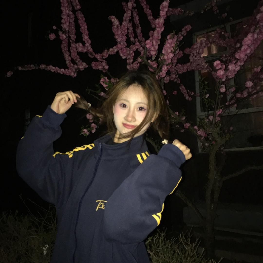 小熊爱分享