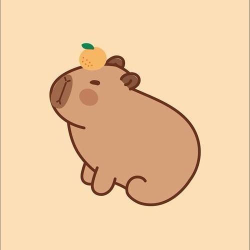 磊磊呀🌈