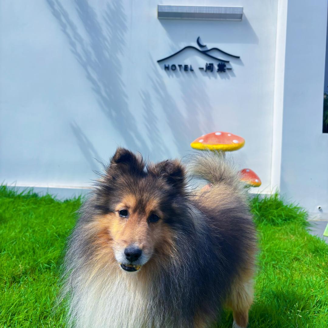 大理问棠民宿官方号