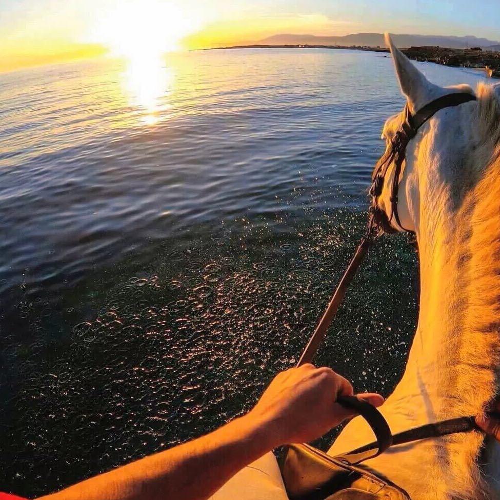 好好吃饭好好睡觉