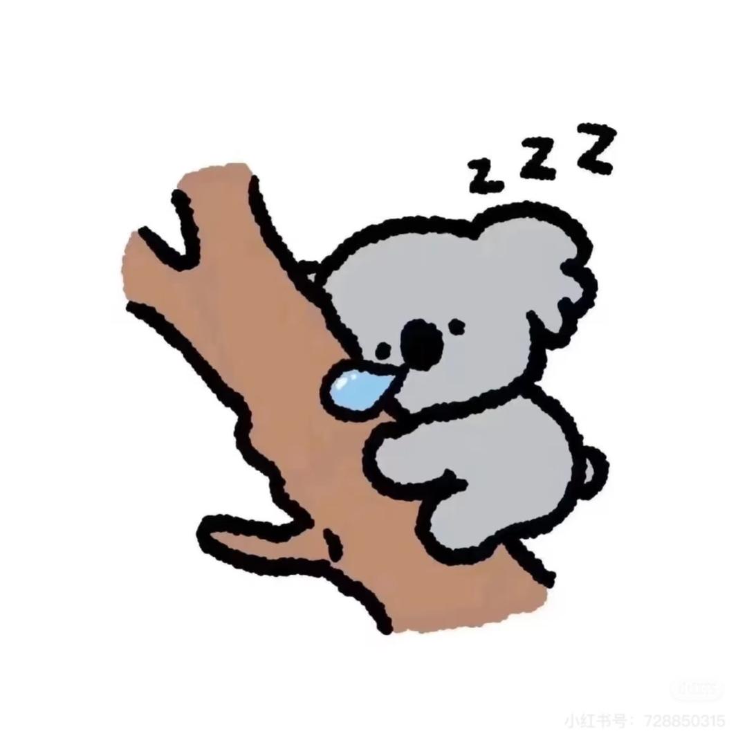 考拉🐨