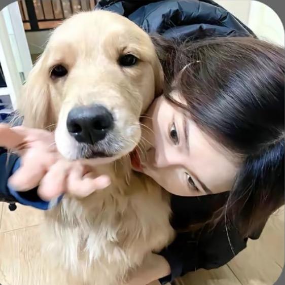 还挺困的🧊