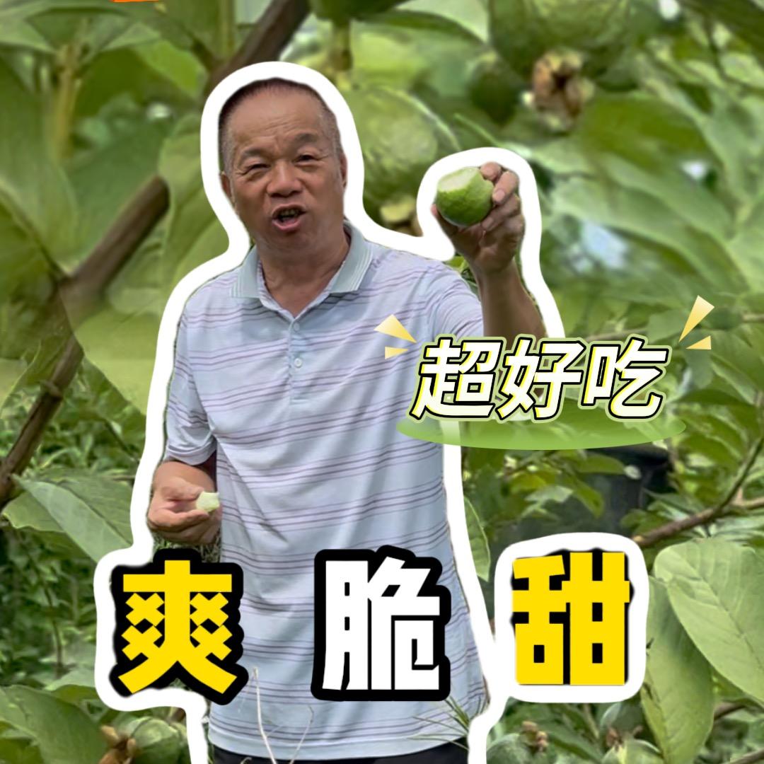 不省心的农场老张