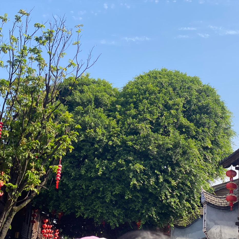 十指紧扣💗