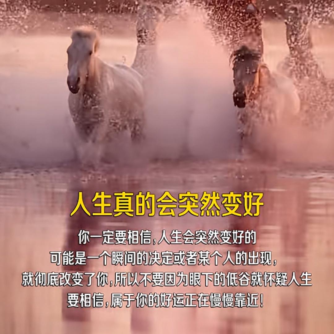 省米优选