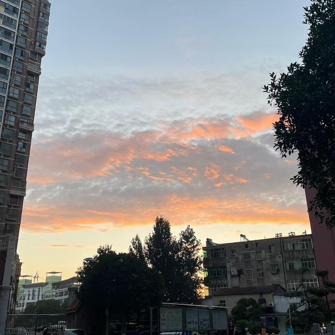 晨雨百货