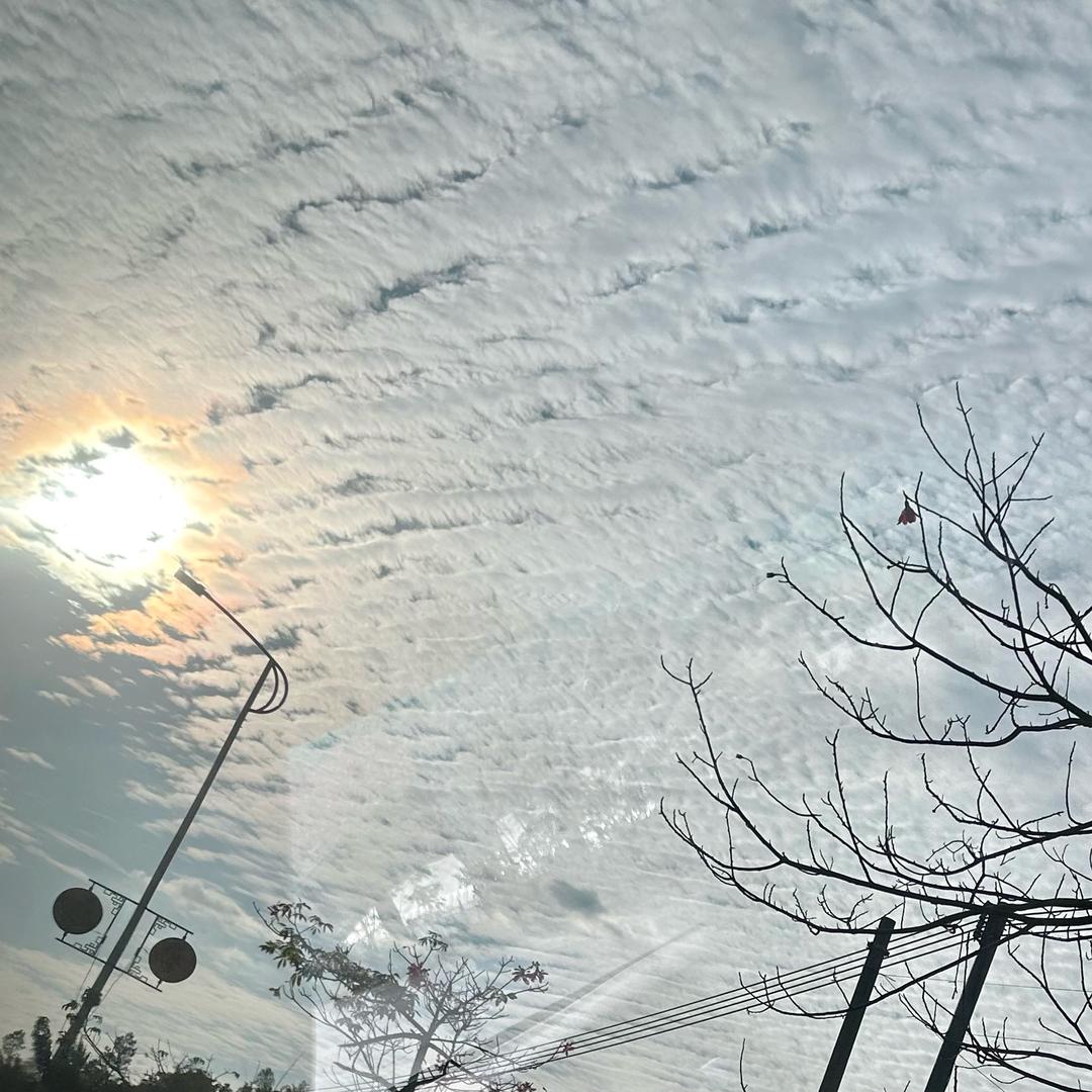 悠悠自得