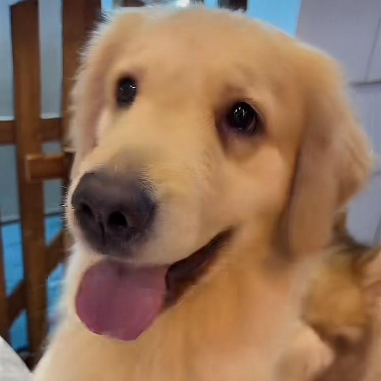徐圆圆💜