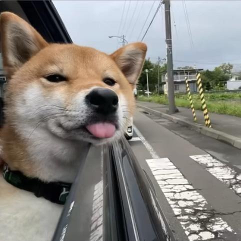 千遍淡如水