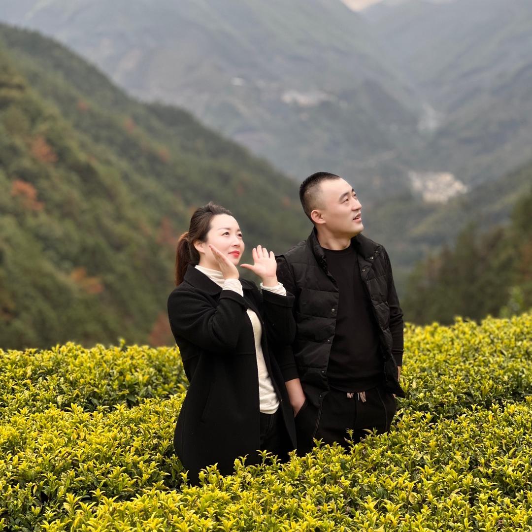 峰露源茶业