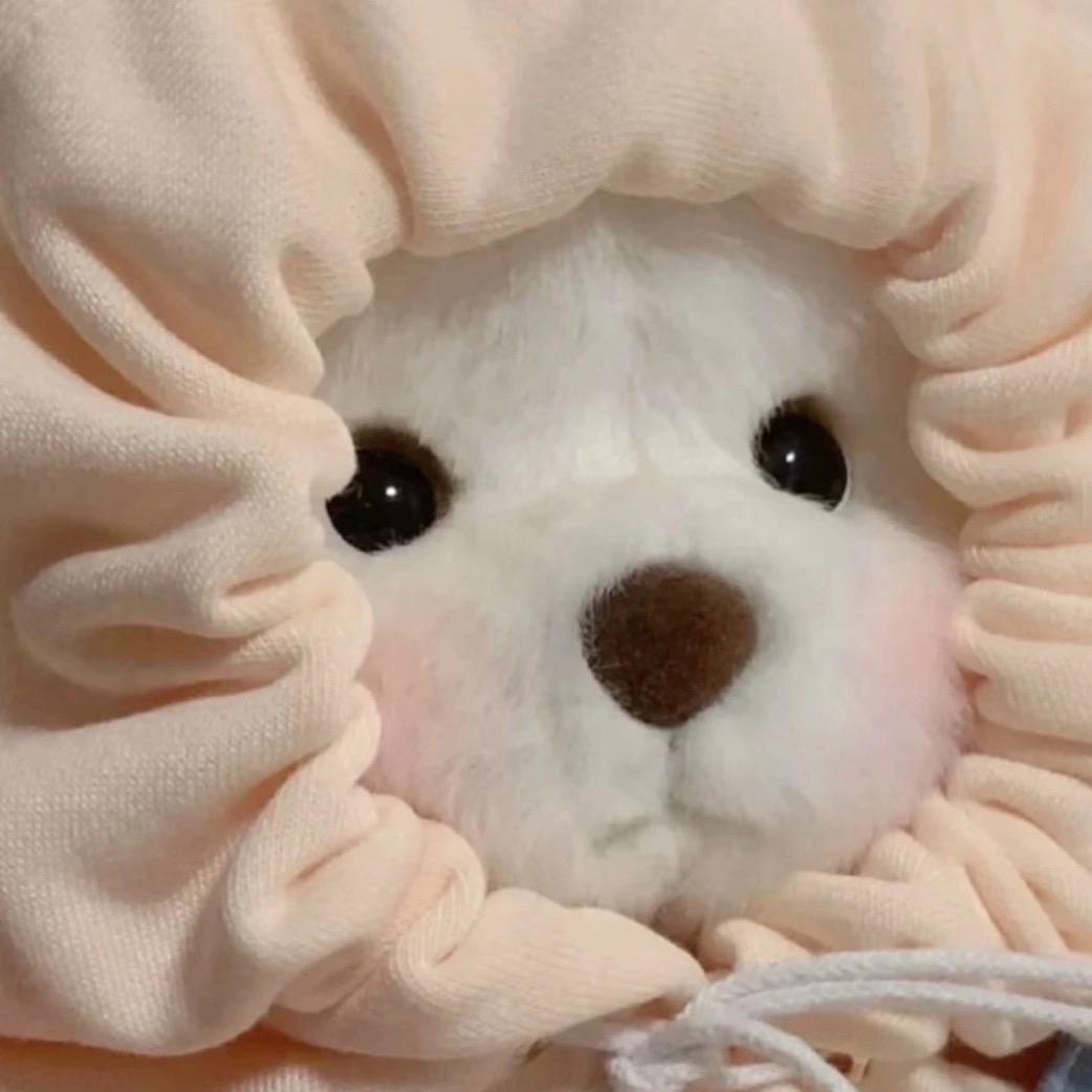 小熊日记🧸