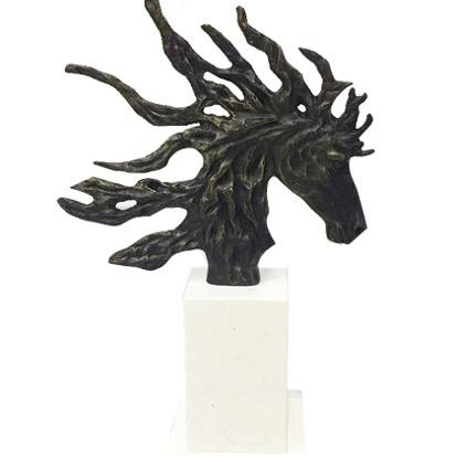 玉悦网络技术服务