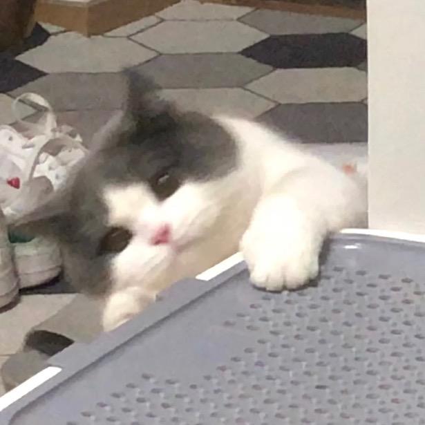 安安yue