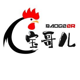 宝哥儿