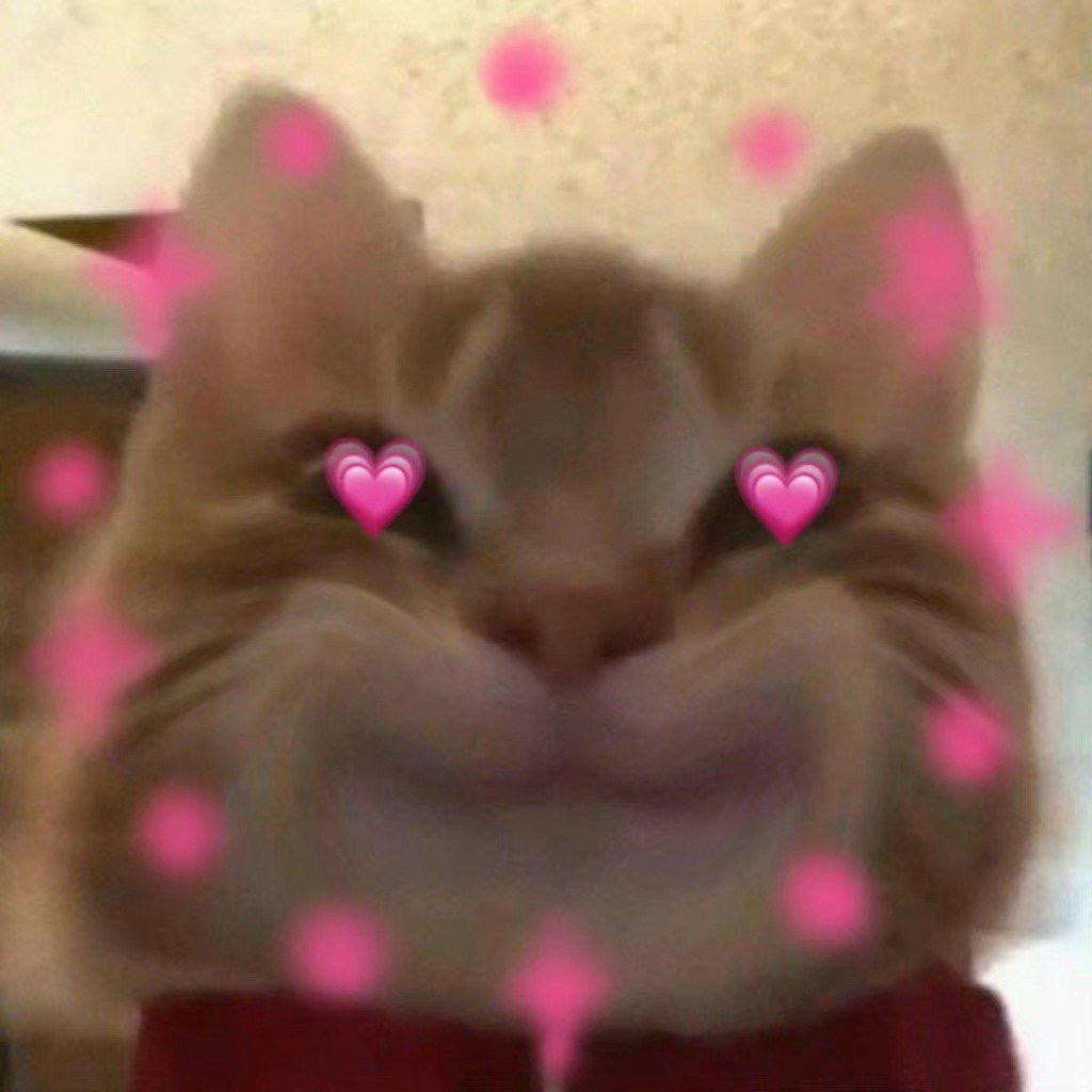 好想发疯啊啊啊