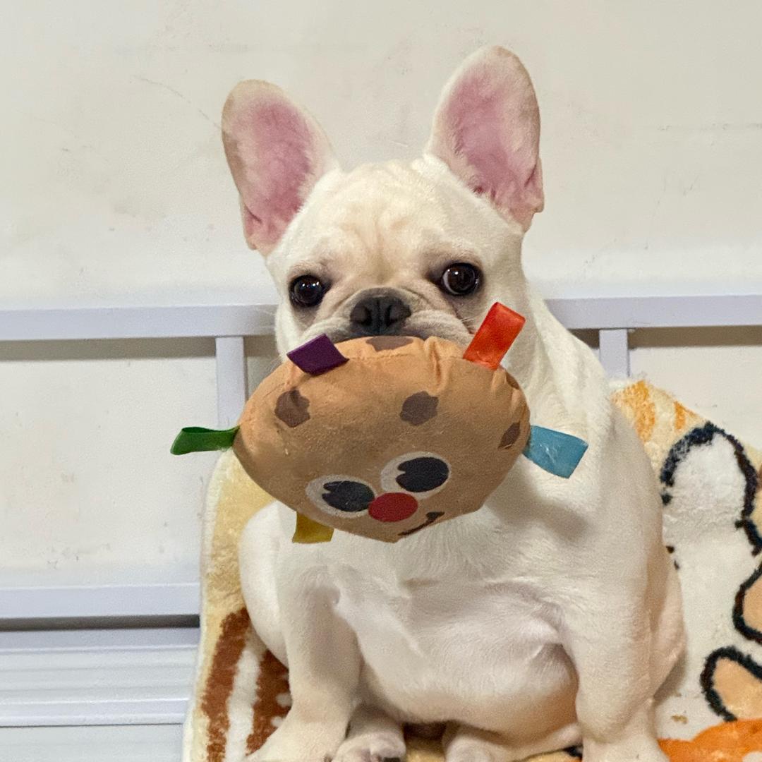 嗯唧怪（饼饼妈）