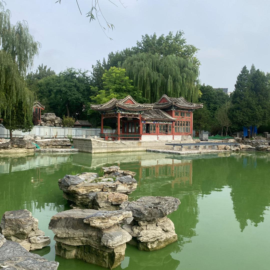 闻亚闻