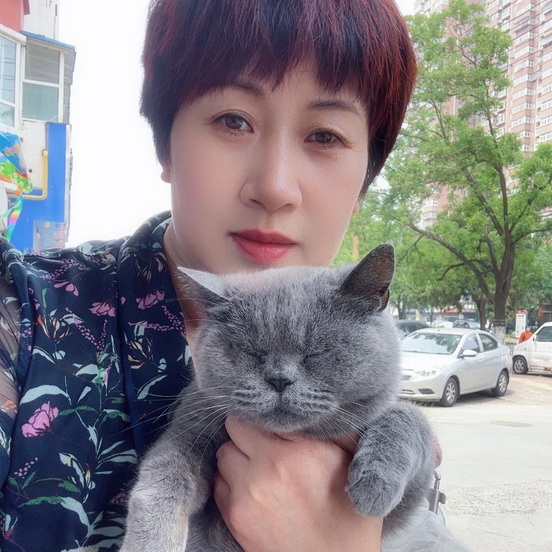 洛阳喵喵村