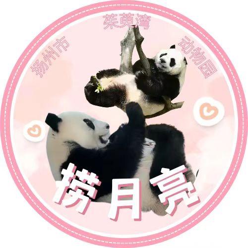 茱萸湾的小可爱们