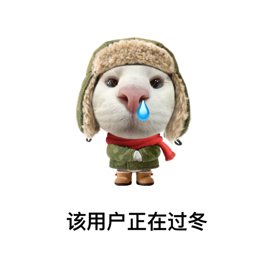 山东安井hr小🥣日记