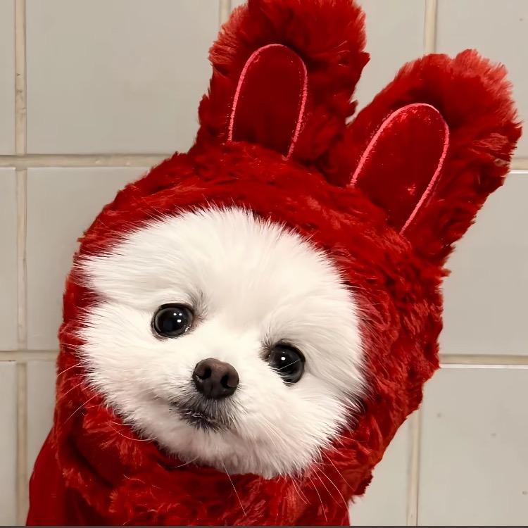 跳跳糖杂货铺（好物推荐）