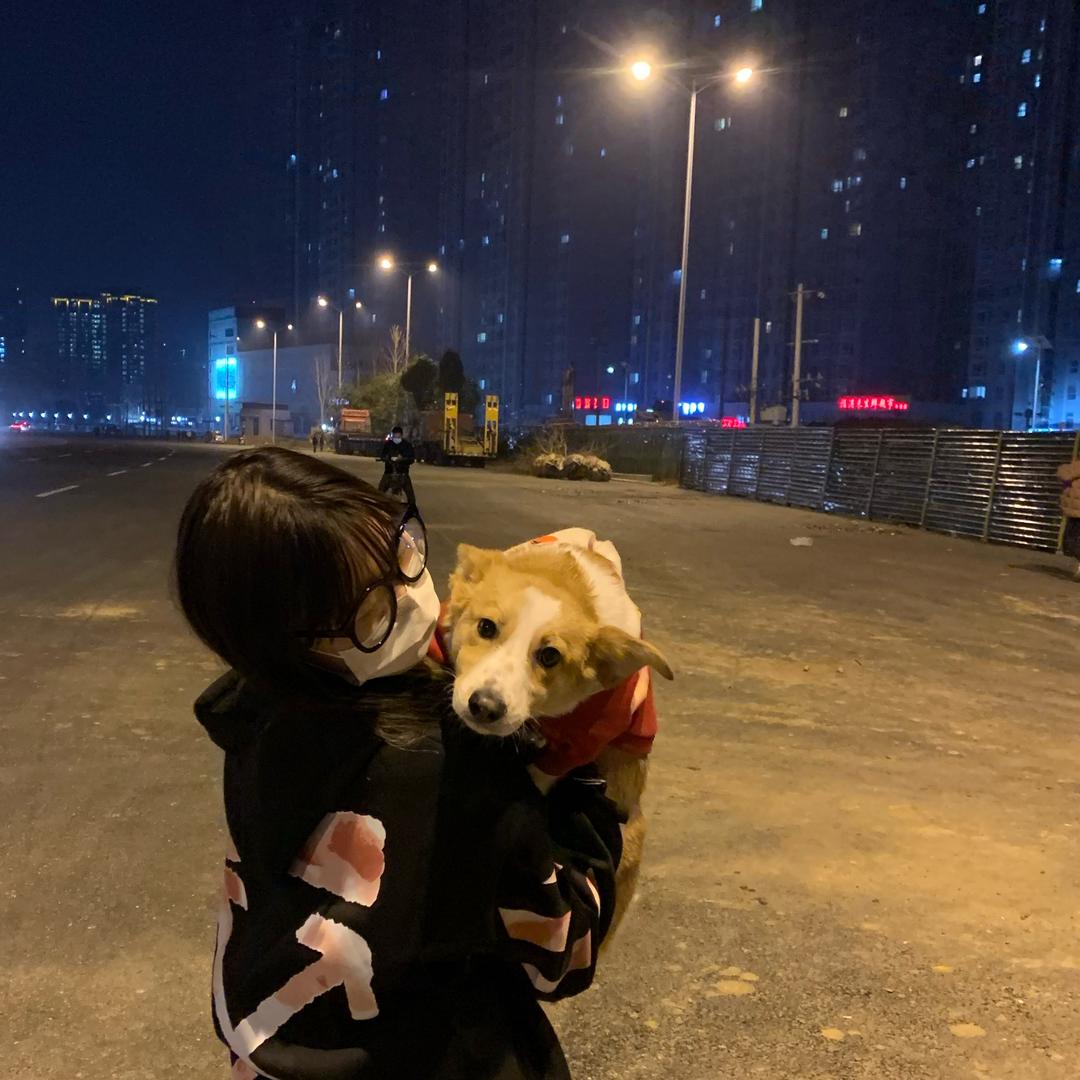 在等晚安.