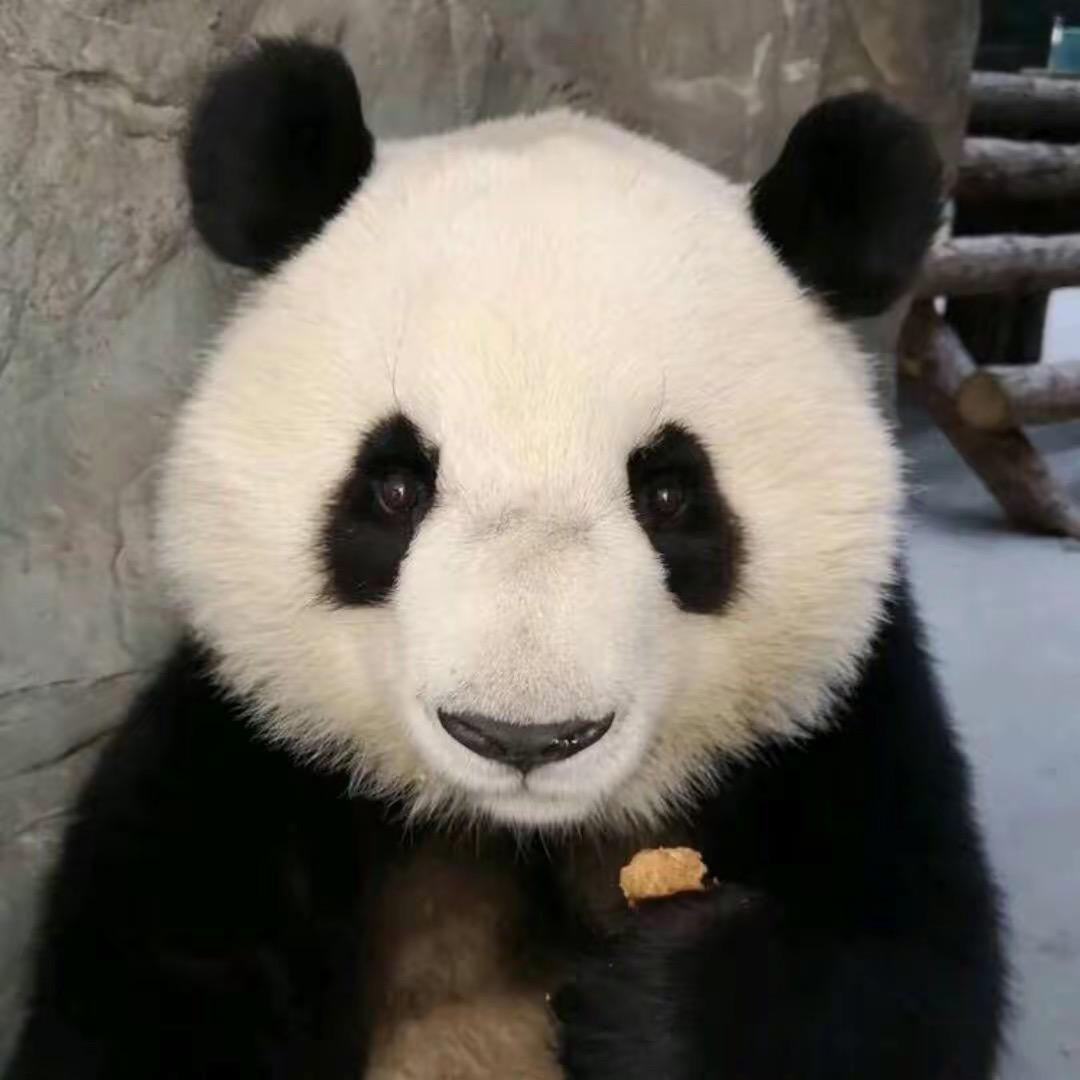 小青蛙不会呱呱