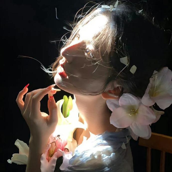 宝藏圆子