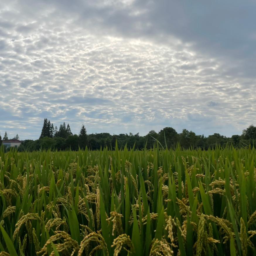 长兴其荣家庭农场