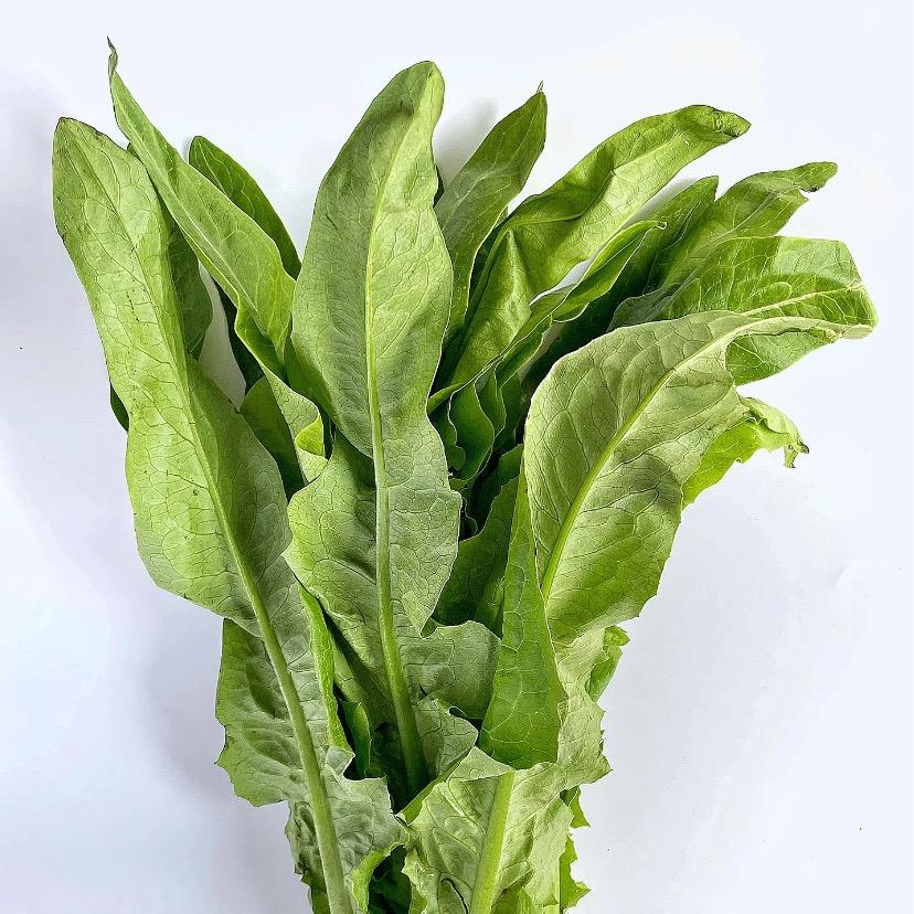 油麦菜