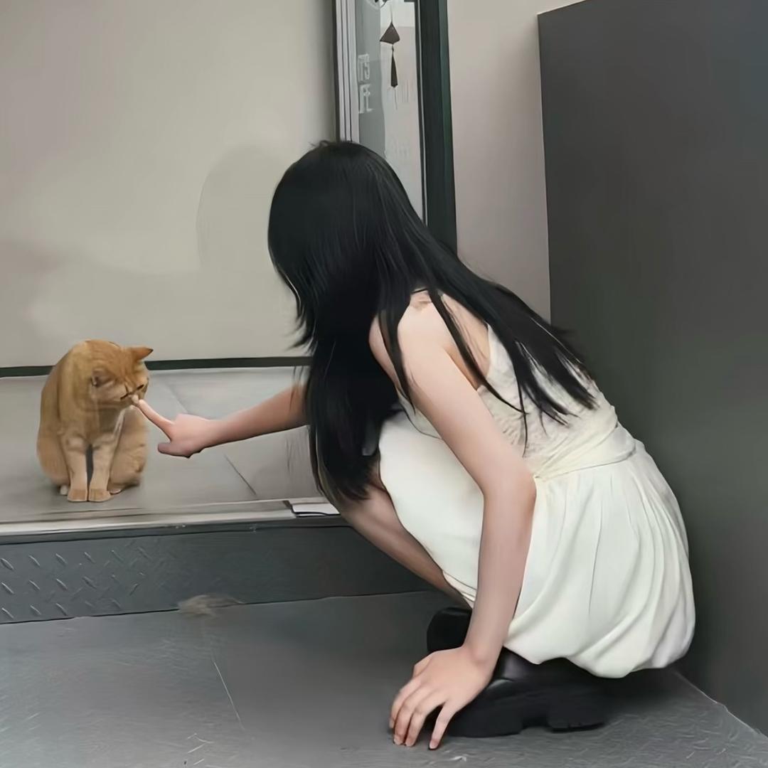晴晴