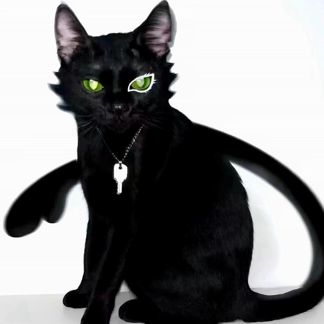 电子猫