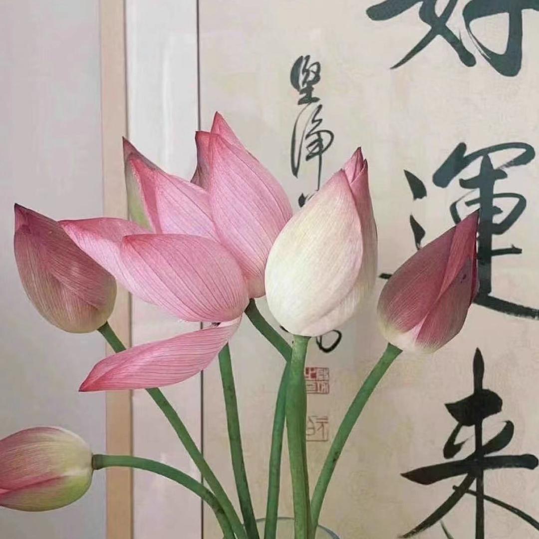 小新小利生活馆