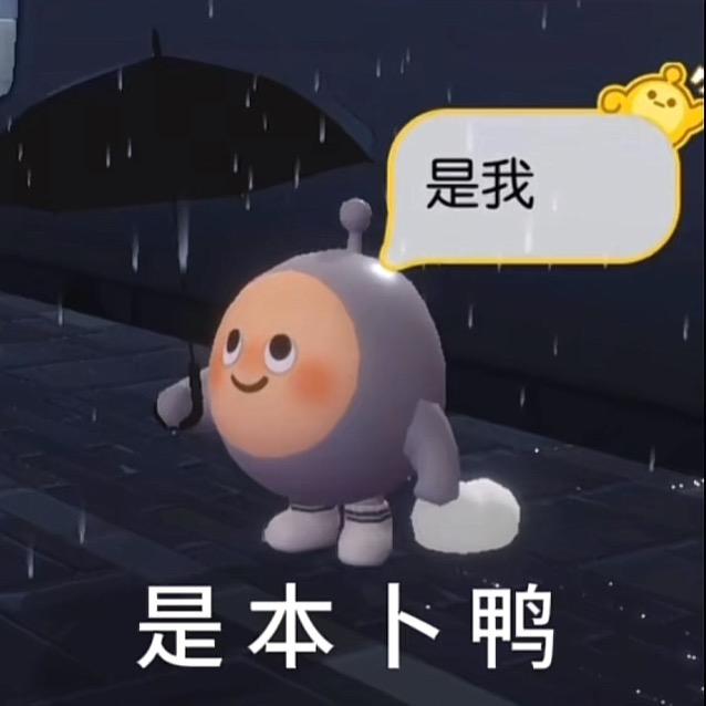 小鲨鱼