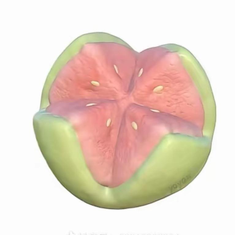 美羊羊大王