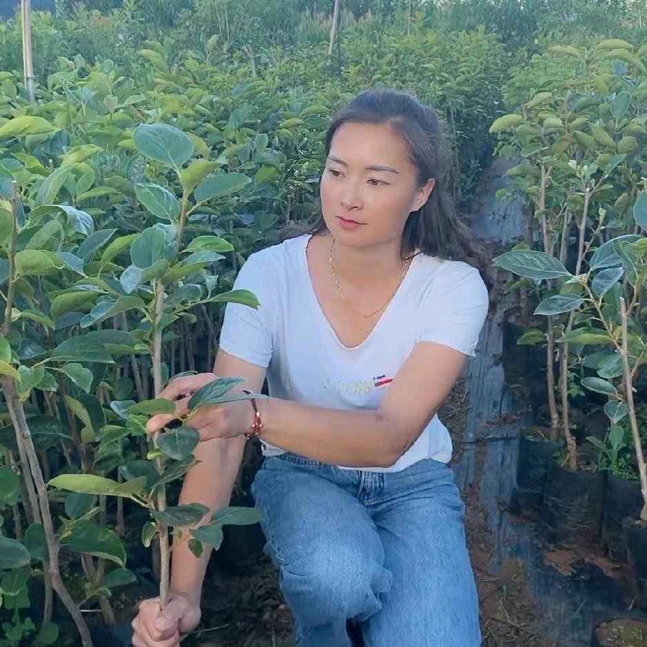 树洞绿洲