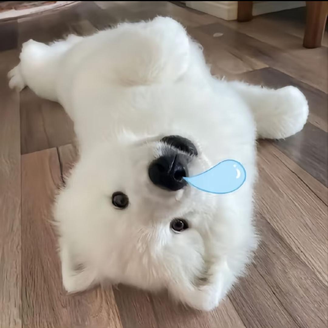 妍少^(穿孔师版