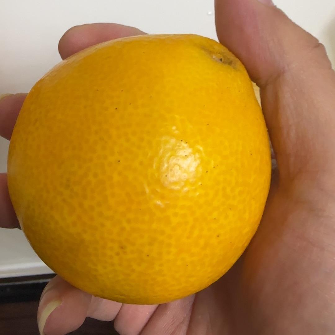 二娃