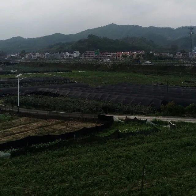 港東