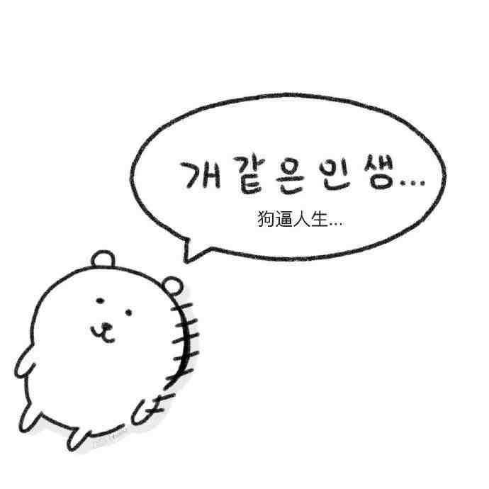 笨蛋无需搭理