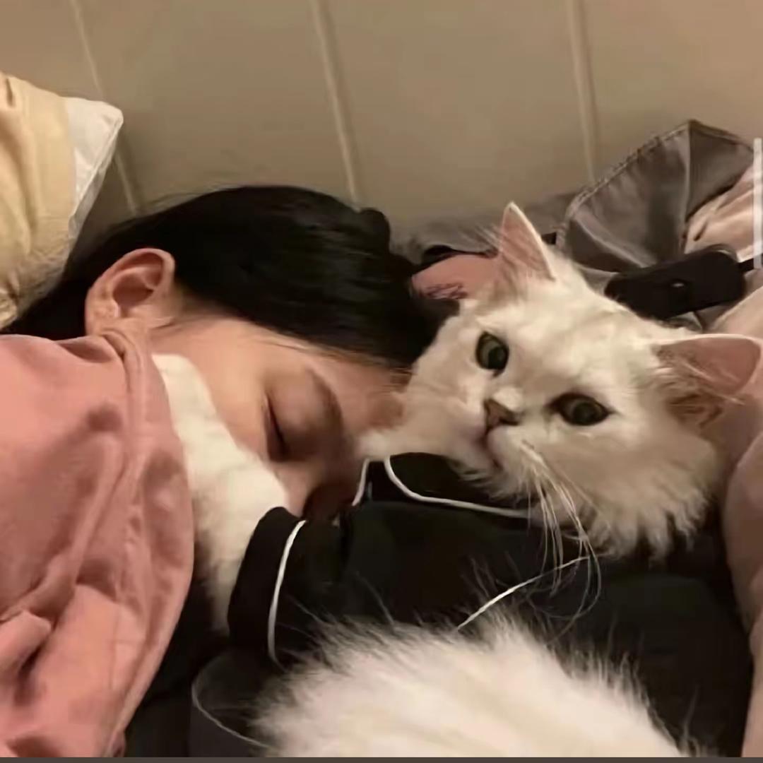 橘子「🍊