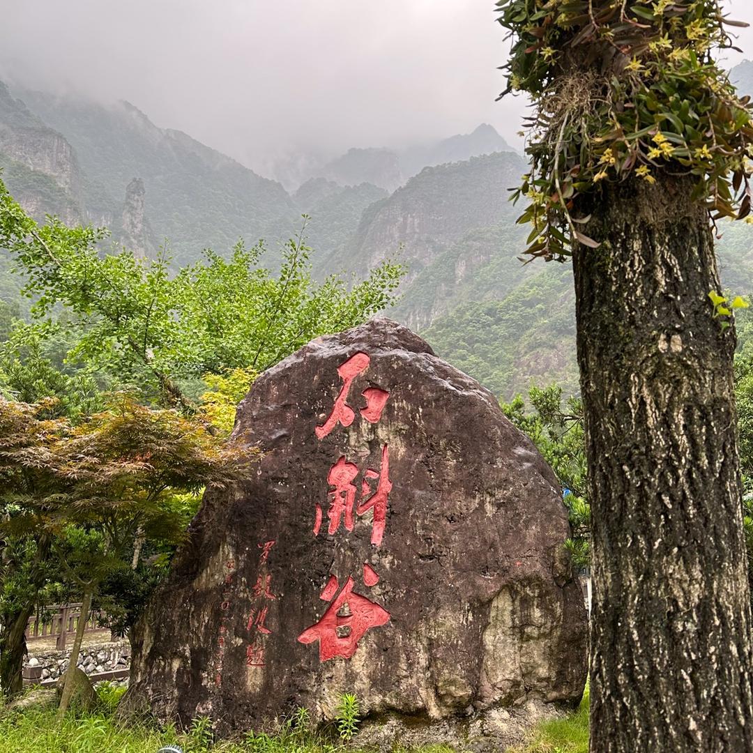 雁荡山石斛谷