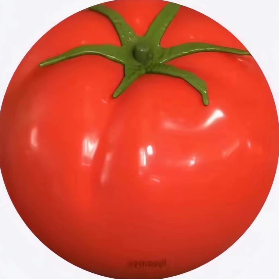 番茄炒蛋🍅