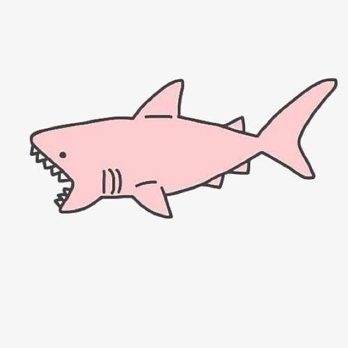 Sharkyu🦈