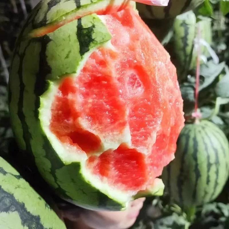 阜阳小果农水果（2）