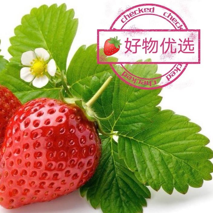 草莓🍓好物优选